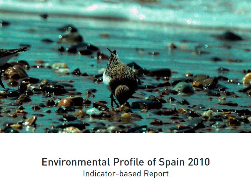 Informe ambiental